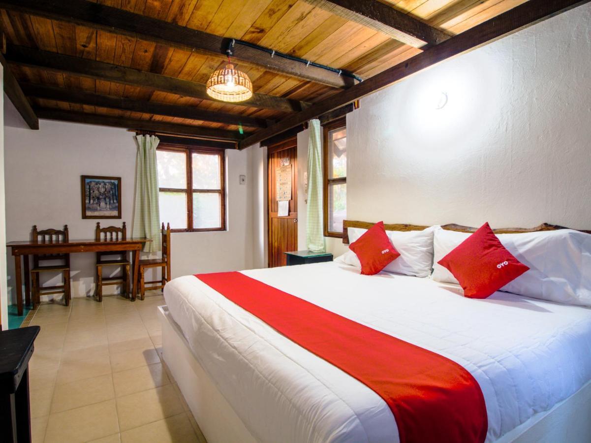 Villas Palmira - Beach Front Heroica Alvarado 외부 사진